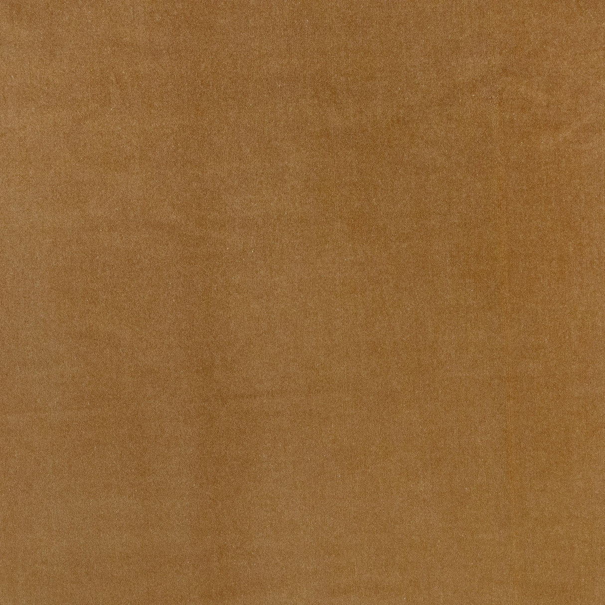 Maxwell BENNETT #705 BUTTERSCOTCH Fabric
