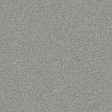 Maxwell TEXEL #909 SHARK Upholstery Fabric