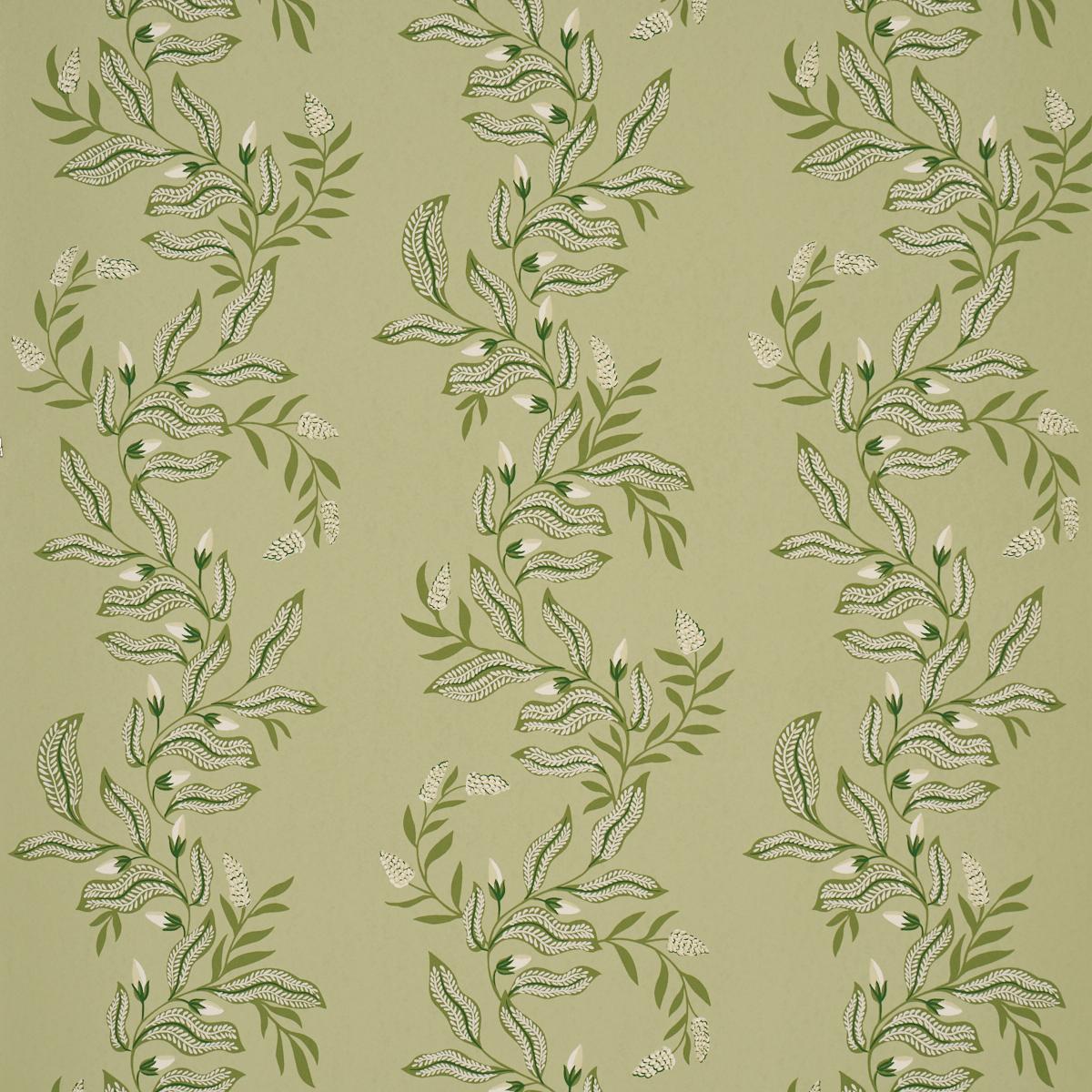 Schumacher Vagary Vines Honeydew Wallpaper
