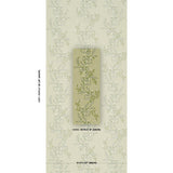 Schumacher Vagary Vines Honeydew Wallpaper