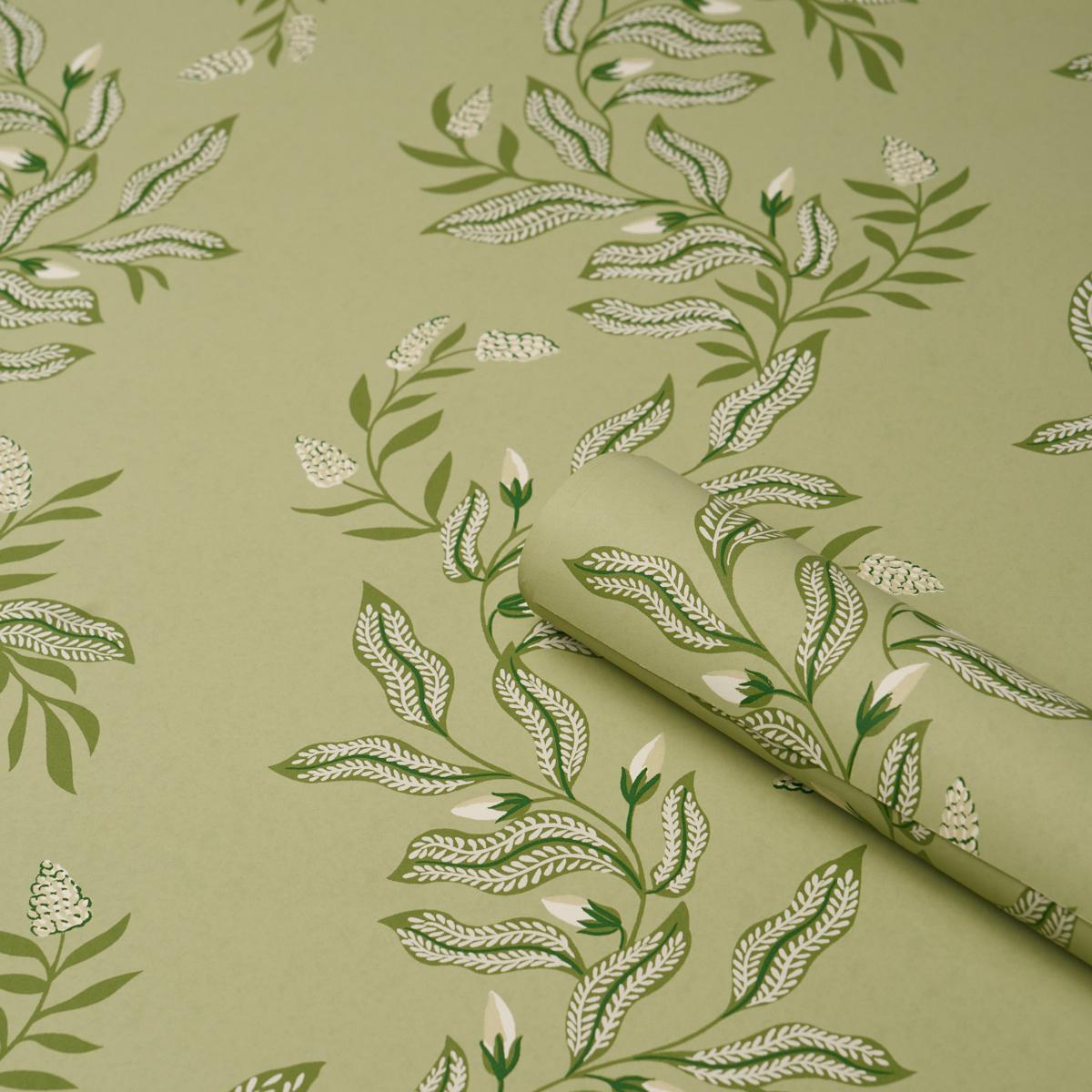 Schumacher Vagary Vines Honeydew Wallpaper