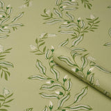 Schumacher Vagary Vines Honeydew Wallpaper