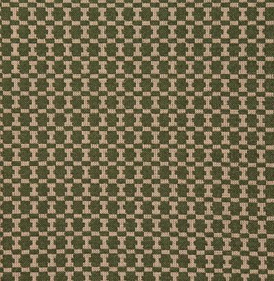 Pindler IZZY PESTO Fabric