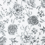 Brewster Home Fashions Arthouse Arthouse Della Black Wallpaper