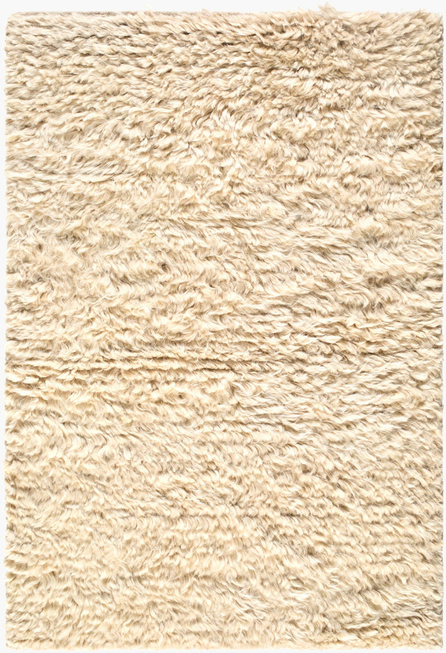Surya Ayan AYM-2300 5' x 8' Handmade Rug
