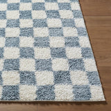 Surya Czechia CZE-2304 Ivory;Medium Gray;Off-White 7'10" x 10' Rug