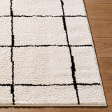 Livabliss Rivoli EDRV-2300 5'3" x 7' Machine Woven Rug