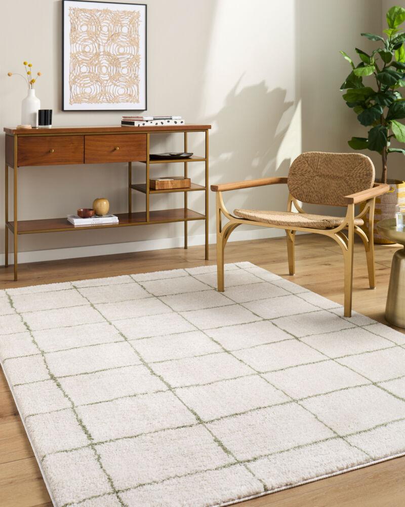 Livabliss Rivoli EDRV-2301 5'3" x 7' Machine Woven Rug
