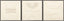 Surya Exploration EXPL-004 Brown;Cream 20"H x 20"W x 2"D Wall Art
