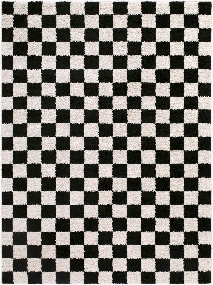 Surya Fossay Shag FSG-2347 Black;Cream 5'3" x 7' Rug