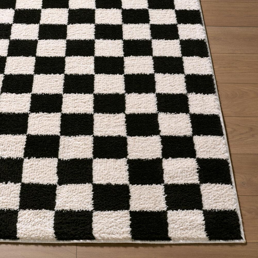 Surya Fossay Shag FSG-2347 Black;Cream 5'3" x 7' Rug
