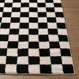 Surya Fossay Shag FSG-2347 Black;Cream 5'3" x 7' Rug