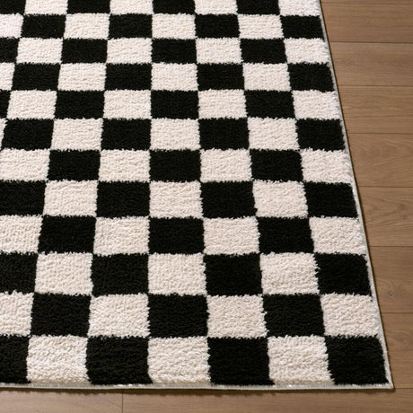 Surya Fossay Shag FSG-2347 Black;Cream 5'3" x 7' Rug