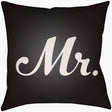 Surya Mr & Mrs MRSS-007 Black;Ivory 14"L x 22"W Fabric