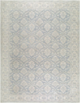 Livabliss Aram NBAR-2305 7'9" x 10' Machine Woven Rug