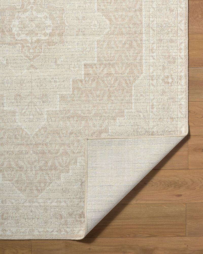 Surya Athiyo NBAT-2300 Ivory;Oatmeal;Tan 1'10" x 2'11" Rug