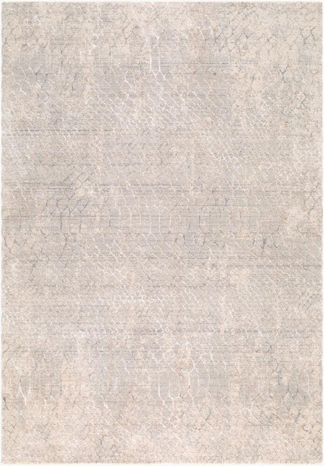 Surya Nathan NTH-2302 Cream;Light Beige;Light Brown;Medium Gray;Slate 2' x 2'11" Rug