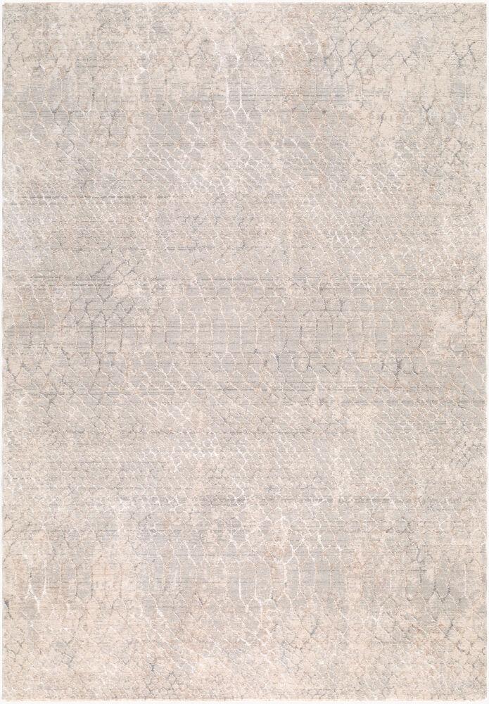 Surya Nathan NTH-2302 Cream;Light Beige;Light Brown;Medium Gray;Slate 6'7" x 9'6" Rug