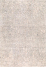 Surya Nathan NTH-2302 Cream;Light Beige;Light Brown;Medium Gray;Slate 6'7" x 9'6" Rug