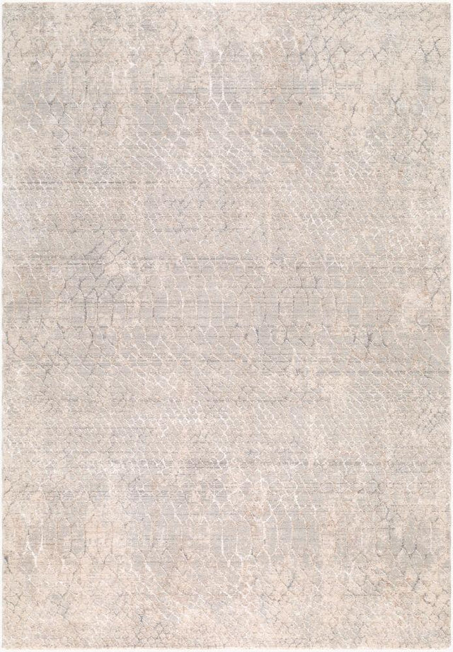 Surya Nathan NTH-2302 Cream;Light Beige;Light Brown;Medium Gray;Slate 9' x 12'2" Rug