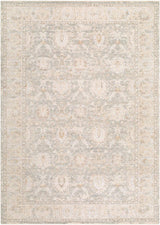 Surya The Vintage Edit RZVE-2305 Cream;Light Beige;Medium Gray;Sage;Seafoam;Tan 5' x 7'5" Rug