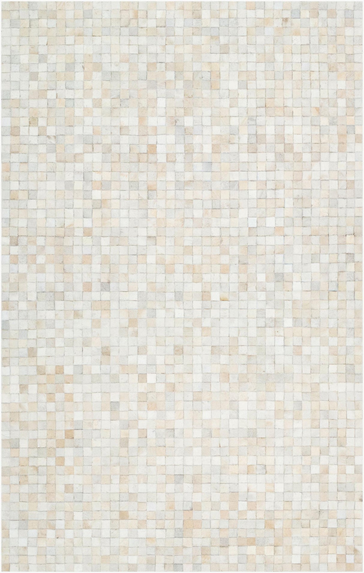 Surya Trail TRL-1117 8' x 10' Handmade Rug