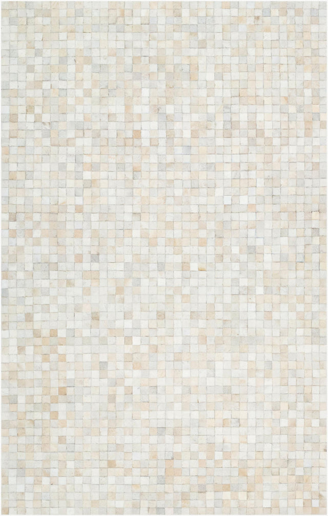 Surya Trail TRL-1117 8' x 10' Handmade Rug