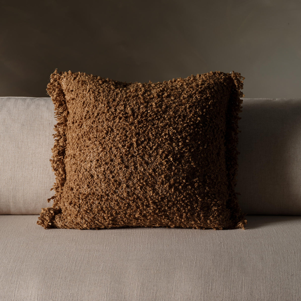 Jaipur Living Angora Nisha Brown 26" x 26" Throw