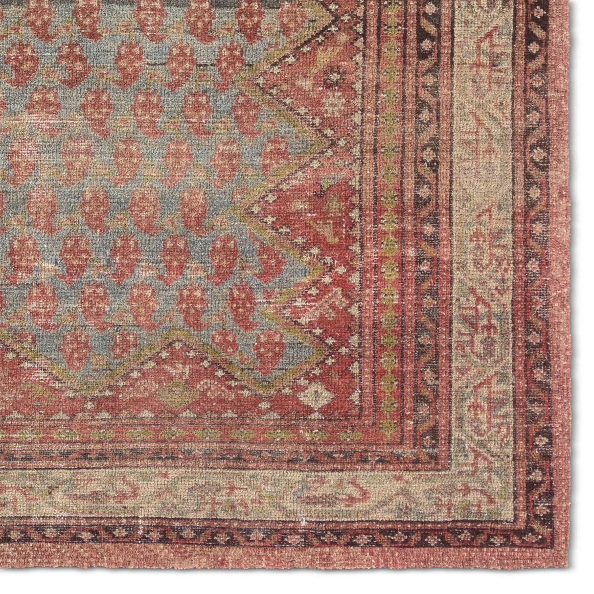 Jaipur Living Amata By House Sprucing Stellina Red / Blue 9'6"x13'6" Rug