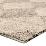 Jaipur Living Tesorino By House Sprucing Gioia Transitional Taupe / Cream 8'6"x11'6" Rug