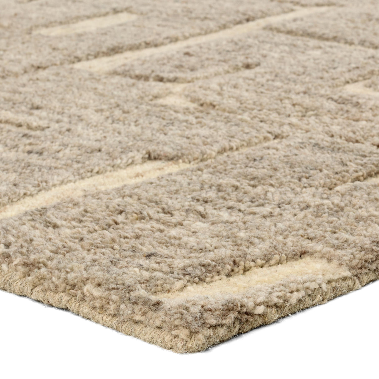 Jaipur Living Reyner Whimsy Abstract Taupe / Cream 6' x 9' Rug