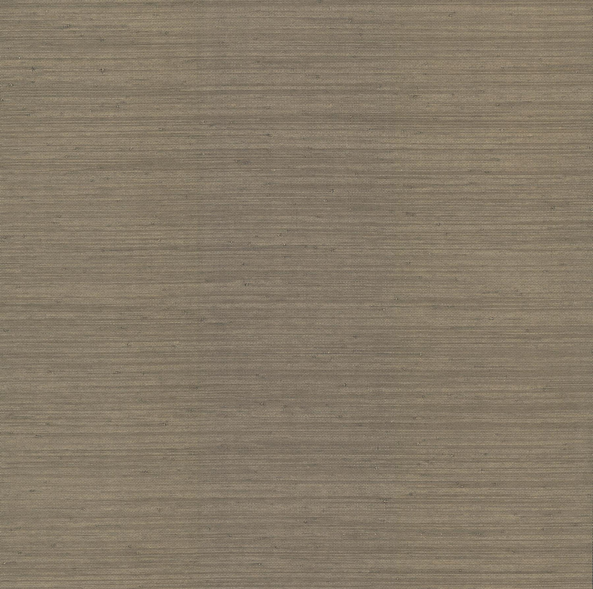 A-Street Prints Chris Loves Julia Mycroft Sterling Wallpaper