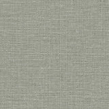 Winfield Thybony WINDSOR DRIFT Wallpaper