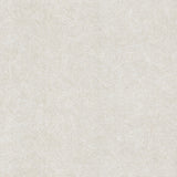 Winfield Thybony CASAS CHALK Wallpaper