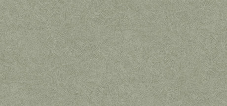 Winfield Thybony CASAS DRIFT Wallpaper