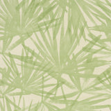 Schumacher Sunlit Palm Sisal Pistachio Wallpaper