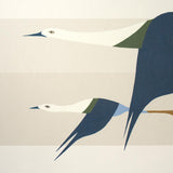 Schumacher Flying West Blue Wallpaper