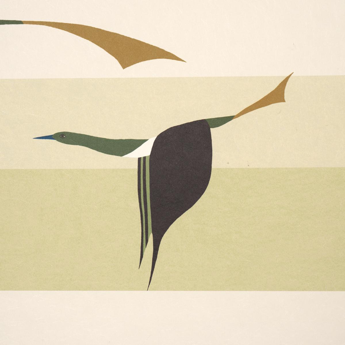 Schumacher Flying West Green Wallpaper