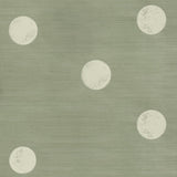 Schumacher X Backdrop Monte Carlo Sisal 2 Panel Set Seaglass Wallpaper