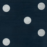 Schumacher X Backdrop Monte Carlo Sisal 2 Panel Set Indigo Wallpaper