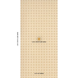 Schumacher X Backdrop Puntini Sisal Tanlines Wallpaper