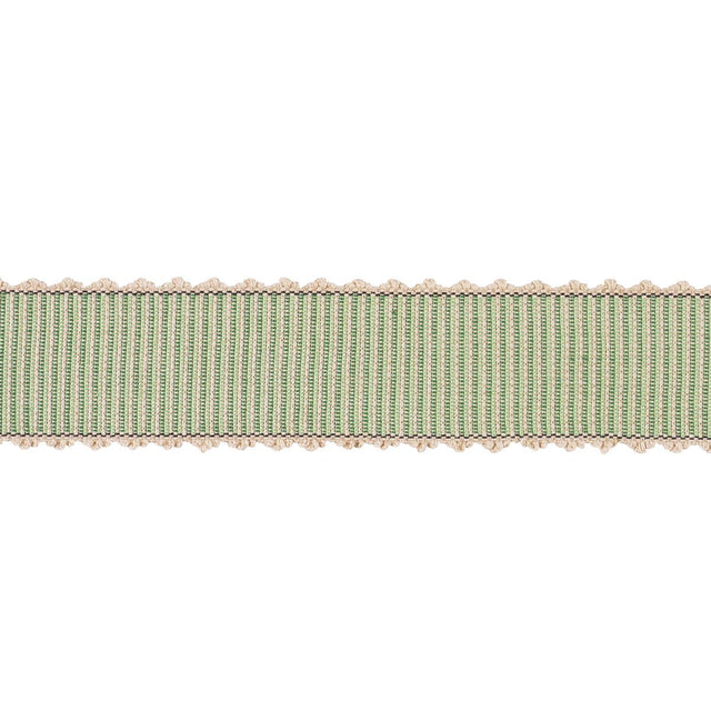 Schumacher Cedar Obi Tape