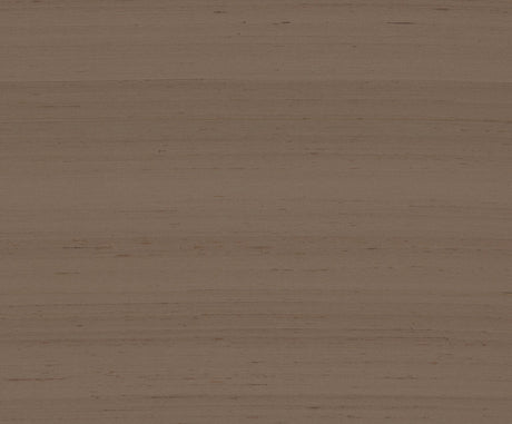 Ronald Redding Designs Silk Road Cinnamon Wallpaper