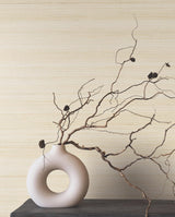 Ronald Redding Designs Smooth Abaca Sand Dollar Wallpaper