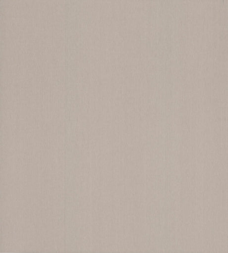 Ronald Redding Designs Cotton Yarn Fawn Wallpaper