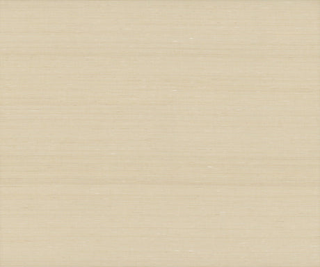 Ronald Redding Designs Fine Abaca Shell Wallpaper