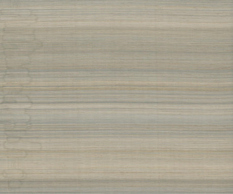 Ronald Redding Designs Horizon Abaca Latte Wallpaper