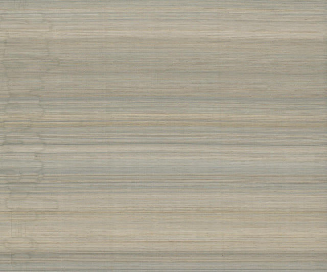 Ronald Redding Designs Horizon Abaca Latte Wallpaper
