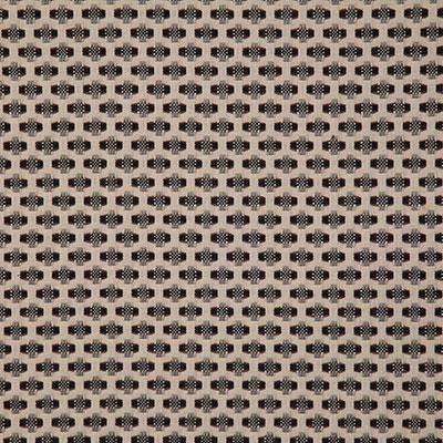 Pindler RAMON SPARROW Fabric