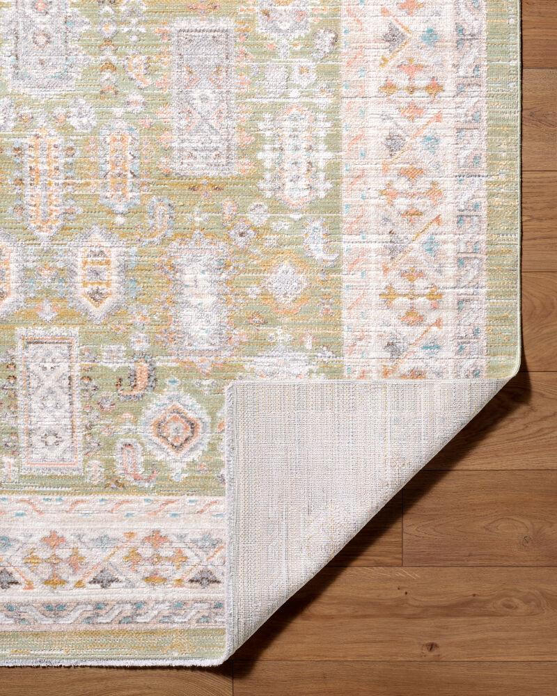 Livabliss Amir AMR-2301 6'7" x 9'2" Machine Woven Rug